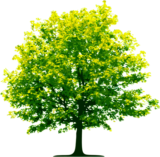 The Summer Saison Tree (photo courtesy of Southern Star)
