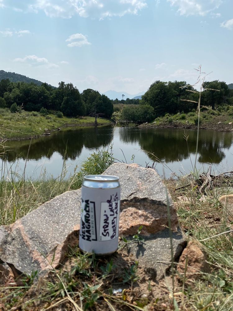 New Magnolia Brewing Can