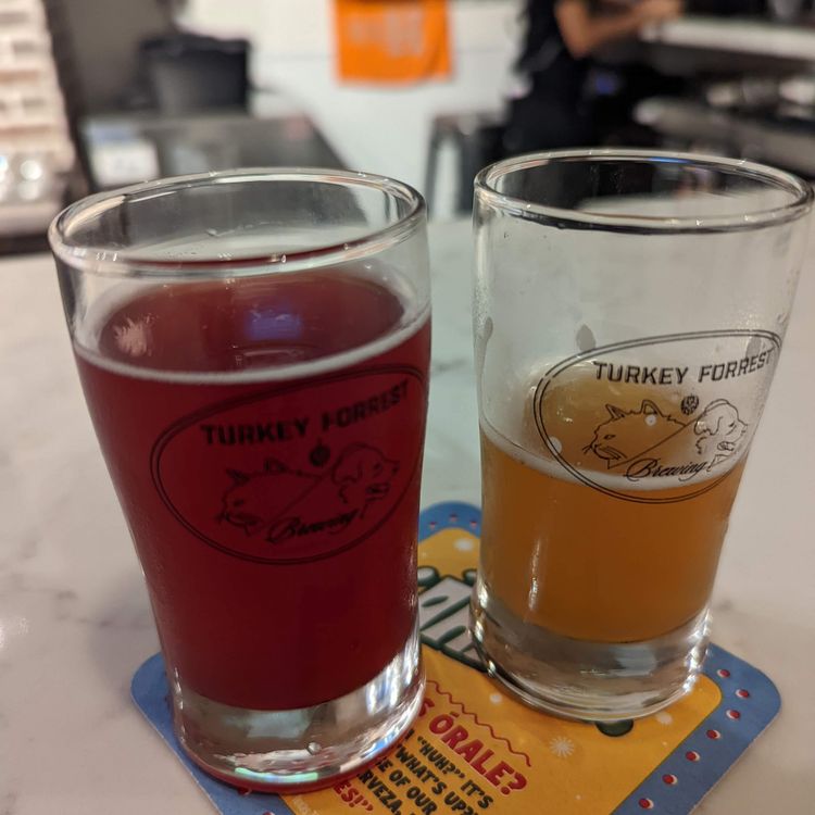 Sours at Turkey Forrest Brewing