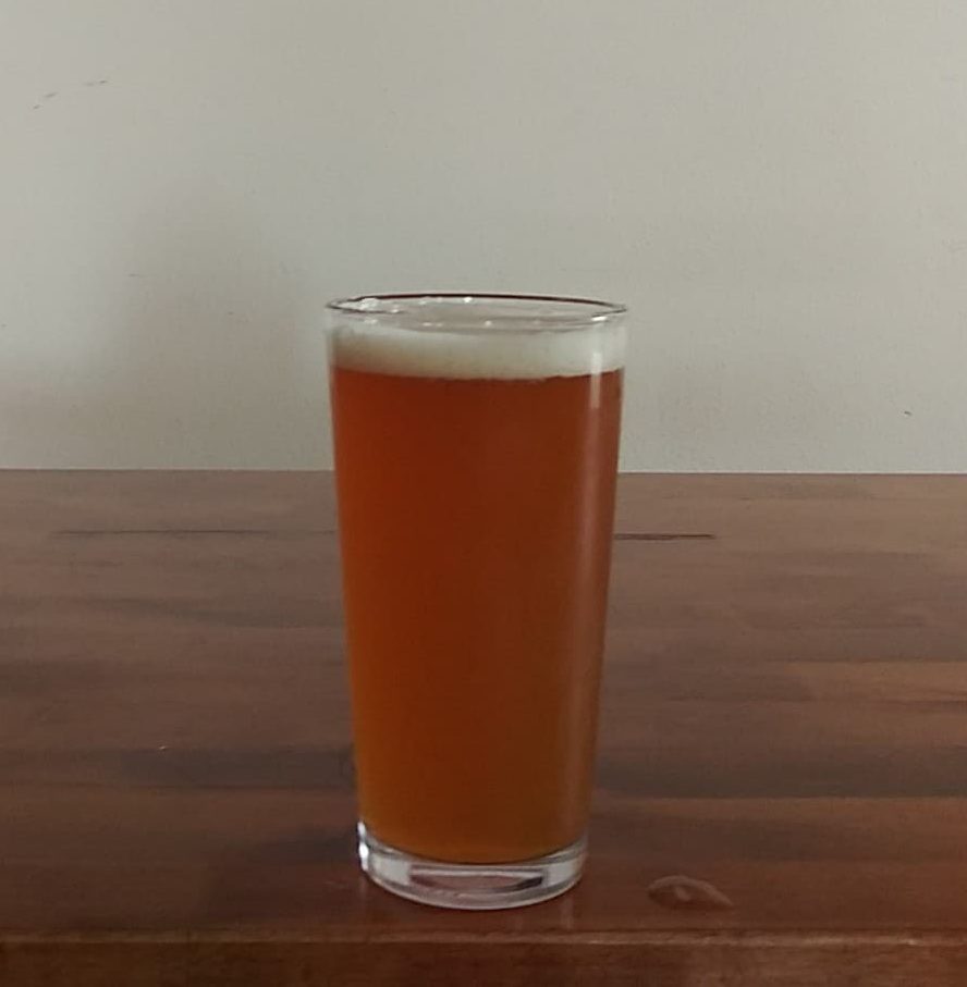 Texas Coast IPA