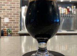 Mexican treat pastry stouts + Smash IPA from Turkey Forrest Brewing