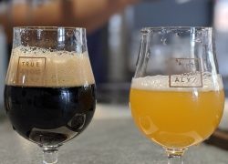 A Final Transmission for True Anomaly Brewing