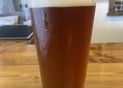 Middie Back Amber Ale from Elder Son Brewery in the Heights