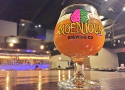 Ingenious Brewing Is Poised to Fill a Hoppy Void in Houston