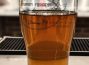 “One Offs and Short Batches #3: “Kentosty” Turkey Forrest Brewing & H-Town Craft Sippers
