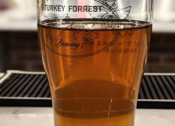 “One Offs and Short Batches #3: “Kentosty” Turkey Forrest Brewing & H-Town Craft Sippers