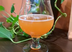 One Offs and Short Batches #4: “Velour Jumpsuit” featuring Nomadic Beerworks & Crafty Brothas